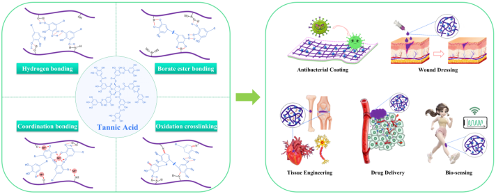 喜讯！太阳集团城娱8722刘阳课题组本科生在知名期刊Chemical Engineering Journal发表重要综述论文